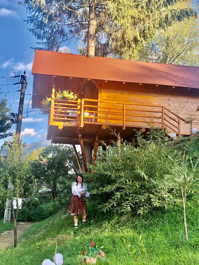 Domeniul Horj Casa Din Deal Moisei Exterior photo