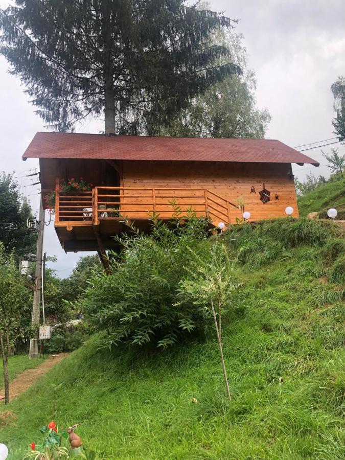 Domeniul Horj Casa Din Deal Moisei Exterior photo
